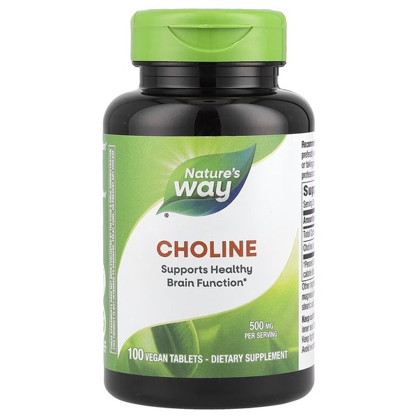Холин Nature's Way Choline, 100 таблеток для поддержки мозга и памяти