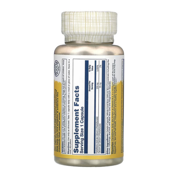 Pantothenic Acid 250mg - 100 caps. Фото 2