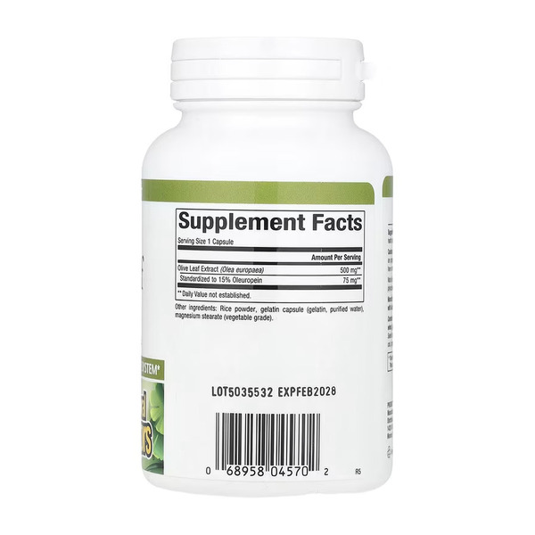 Olive Leaf 500mg - 90 caps. Фото 2