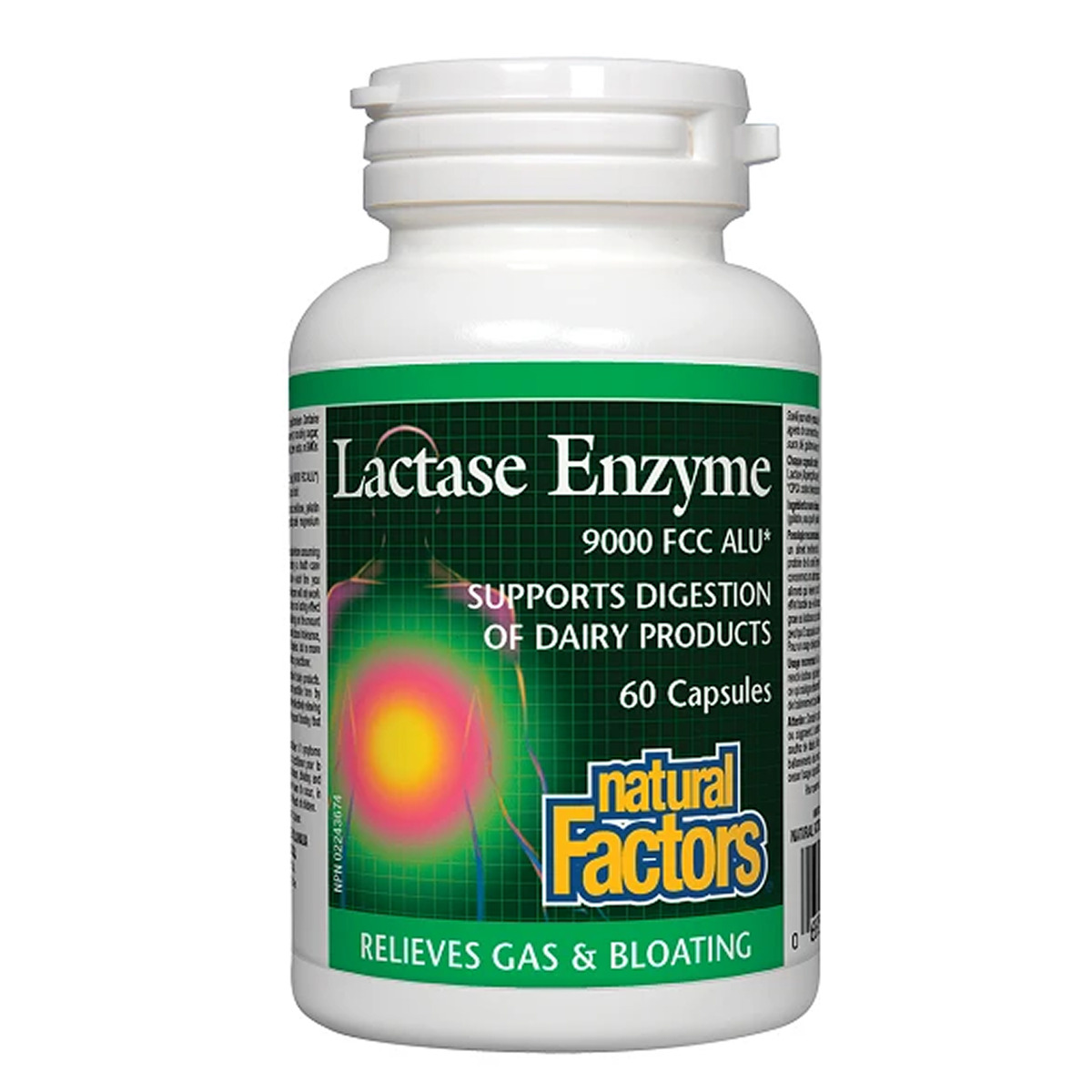 Lactase Enzyme - 60 caps